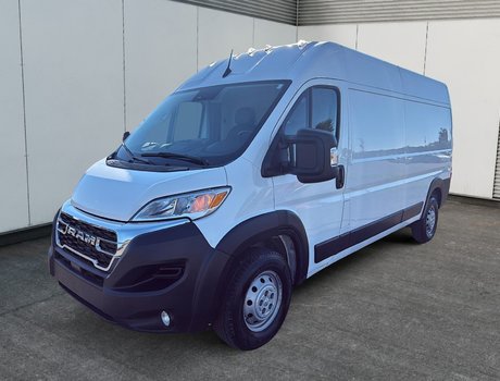 ProMaster Cargo Van