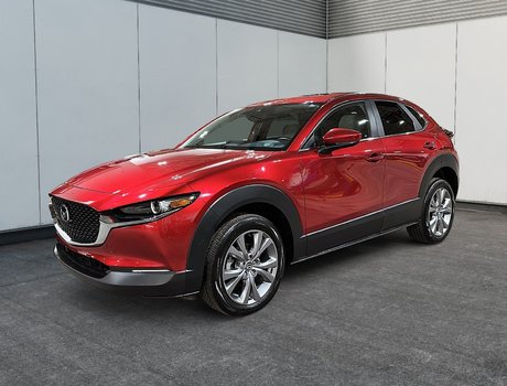 CX-30