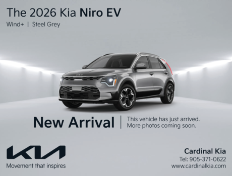 Niro EV