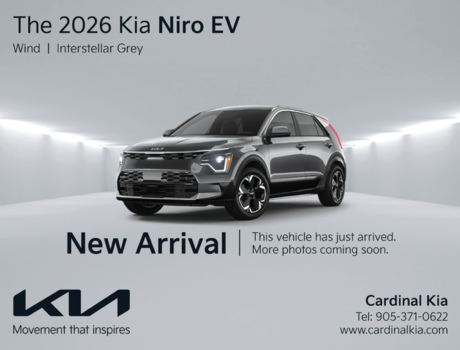 Niro EV