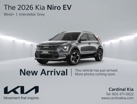Niro EV