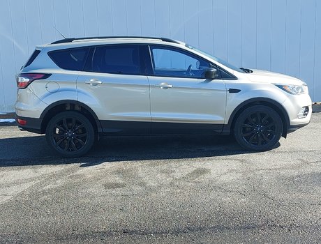 2017 Ford ESCAPE SE | Cam | Bluetooth | HtdSeats | Keyless| Aux