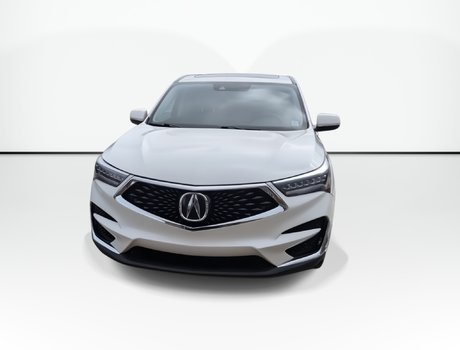 2019 Acura RDX Tech | Leather | Moonroof | ELS Audio
