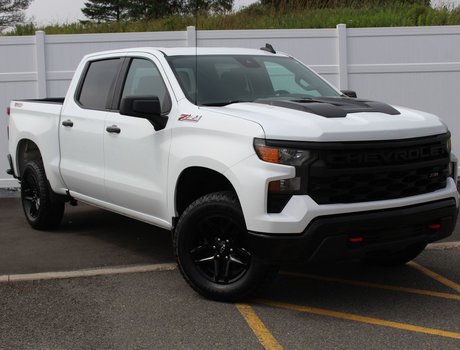 2022 Chevrolet Silverado 1500 Custom Trail Boss | Cam | USB | Bluetooth | XM