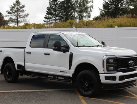 2025 Ford Super Duty F-250 SRW STX | DIESEL | Cam | Bluetooth | Warranty to 2030