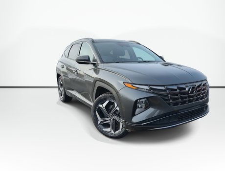 2022 Hyundai Tucson Hybrid Ultimate | Roof | Cam | Lthr | Warranty to 2030