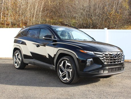 2023 Hyundai Tucson Hybrid Luxury | HEV | Leather | Roof | Warranty to 2031