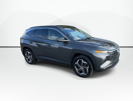 2024 Hyundai Tucson Hybrid Luxury | Leather | Roof | Cam | Warranty to 2031