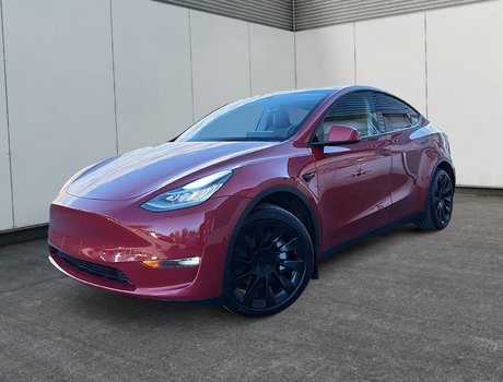 Model Y