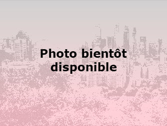 Il n'y a pas de photos disponibles pour le moment.