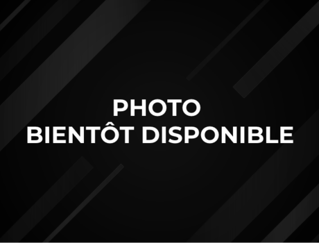 Il n'y a pas de photos disponibles pour le moment.