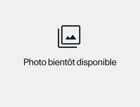 Il n'y a pas de photos disponibles pour le moment.