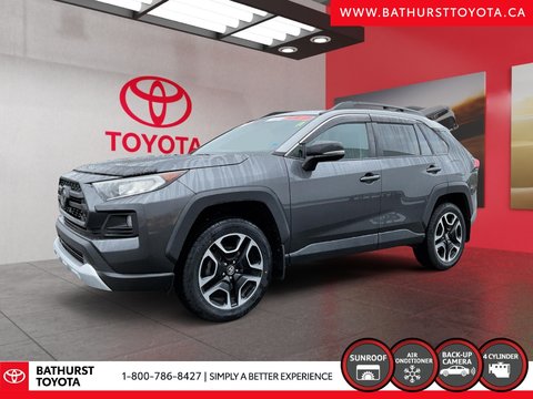 2019 Toyota RAV4