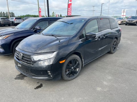 Honda Odyssey Black Edition 2024