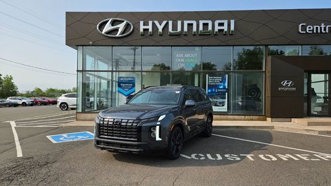 2025 Hyundai Palisade URBAN