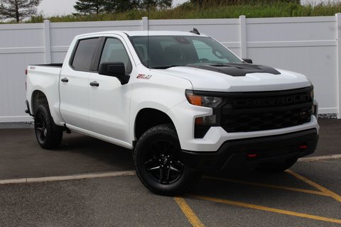 2022 Chevrolet Silverado 1500 Custom Trail Boss | Cam | USB | Bluetooth | XM