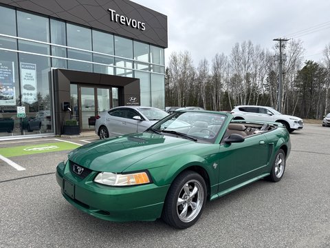 1999 Ford Mustang