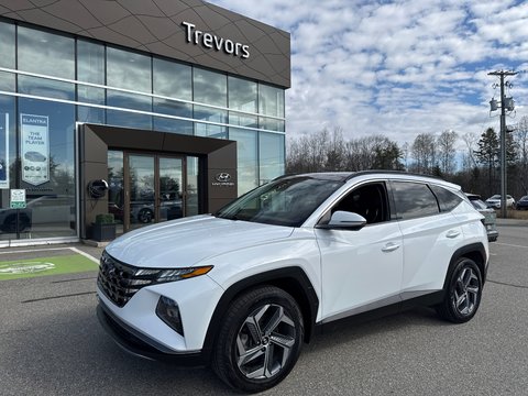 2022 Hyundai Tucson Hybrid Luxury