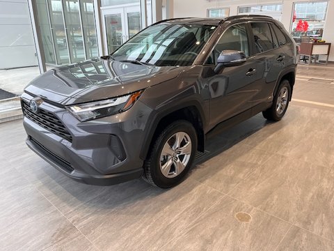 Toyota RAV4 Hybrid  2024