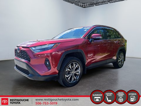 2023 Toyota RAV4