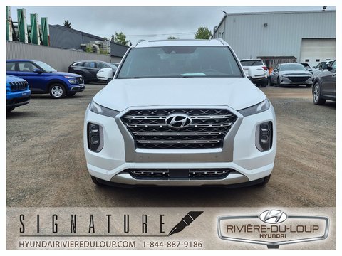 Hyundai Palisade  2020