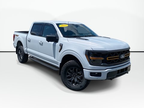 2025 Ford F-150 BASE