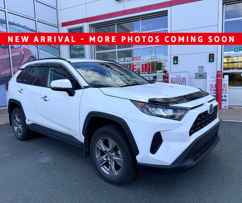 2023 Toyota RAV4 LE