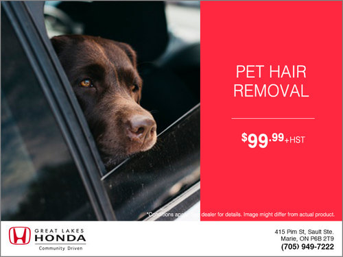 Pet Hair Removal