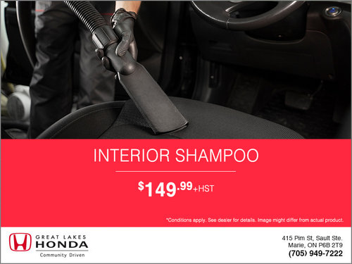 Interior Shampoo