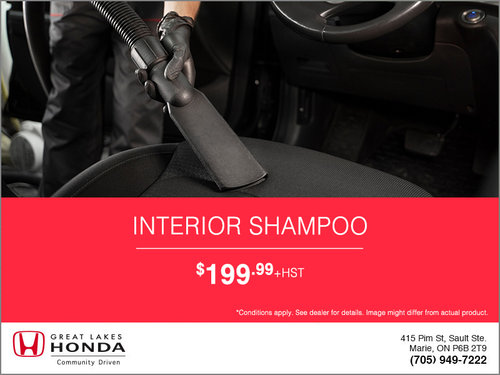 Interior Shampoo