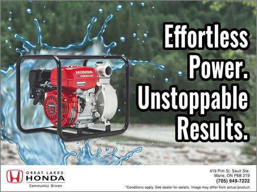 Transfer Pump | Utility 2 (In stock)