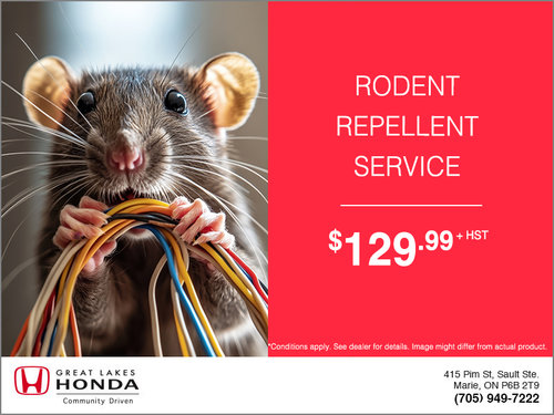 Rodent Repellent Service