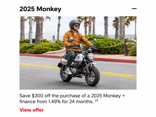 2025 Monkey [in Stock]