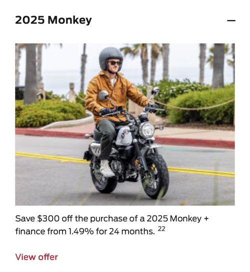 2025 Monkey [in Stock]