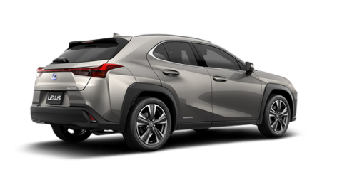 2019 Lexus Ux 250h Mierins Automotive Group In Ontario