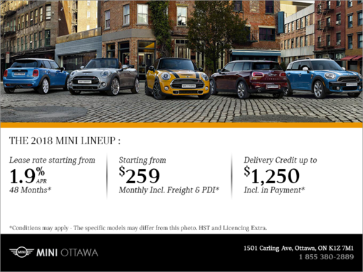 Discover summer in a MINI event