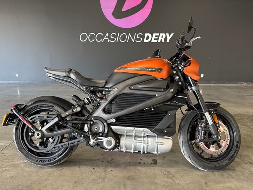 2020 HARLEY DAVIDSON ELW