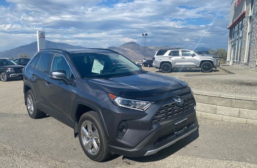 2021   Hybrid Limited