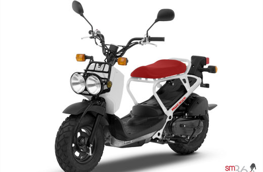 New 2017 Honda Ruckus Nps50 At Bathurst Honda M13218