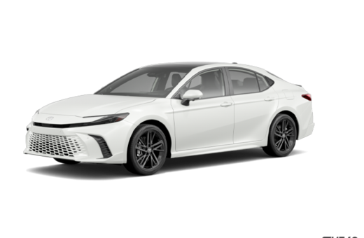 2025   XSE