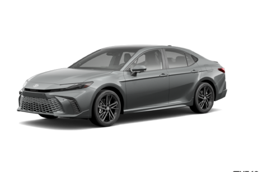 2025   XSE