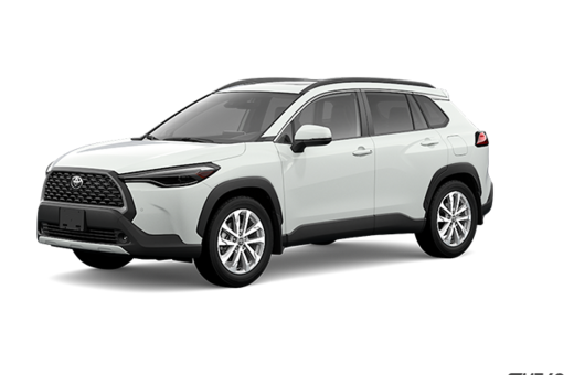 2025   XLE