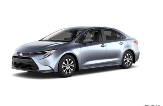 2025   Hybrid LE