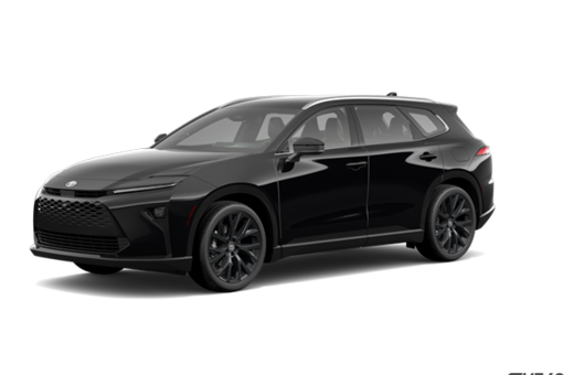 2025   Limited