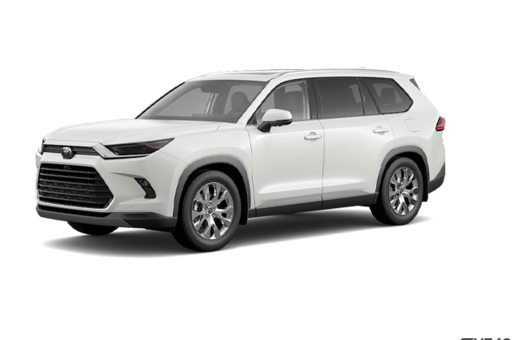 2025   Hybrid Limited