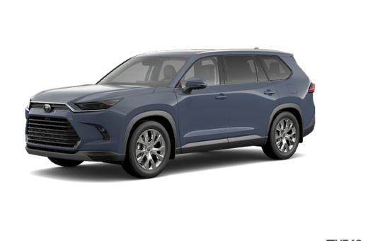 2025   Hybrid Limited