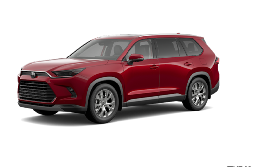 2025   Hybrid Limited