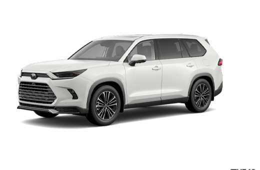 2025   Hybrid Platinum MAX