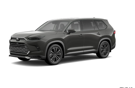2025   Hybrid Platinum MAX