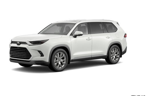 2025   Limited